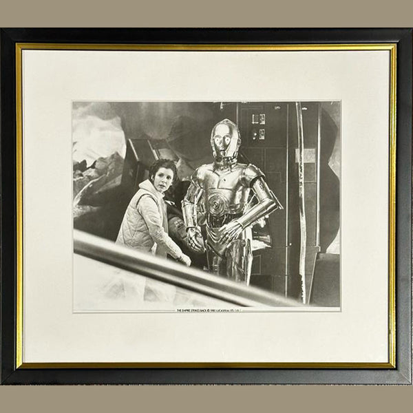 Empire Strikes Back, The (1980) - FRAMED