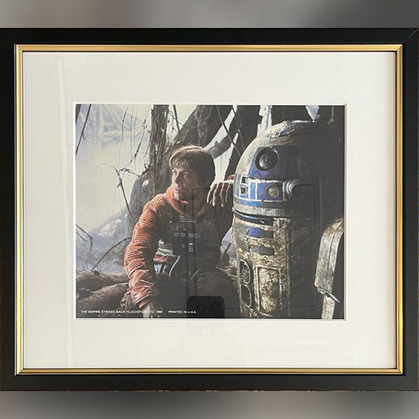 Empire Strikes Back, The (1980) - FRAMED