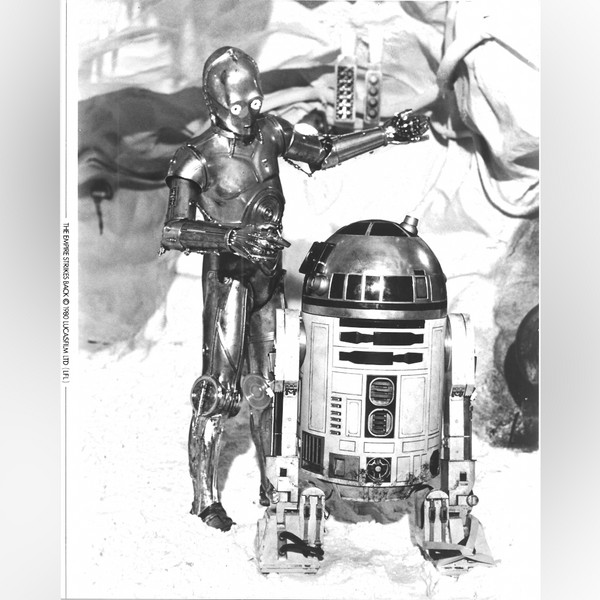 The Empire Strikes Back (1980)