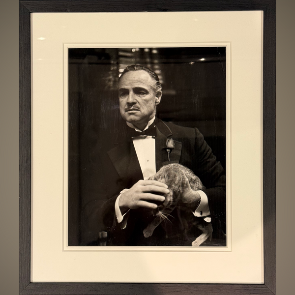 The Godfather (1972) - FRAMED