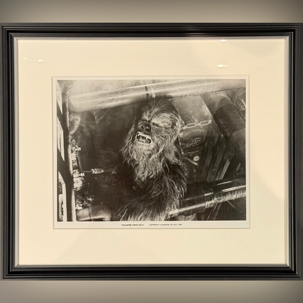 The Empire Strikes Back (1980) - FRAMED