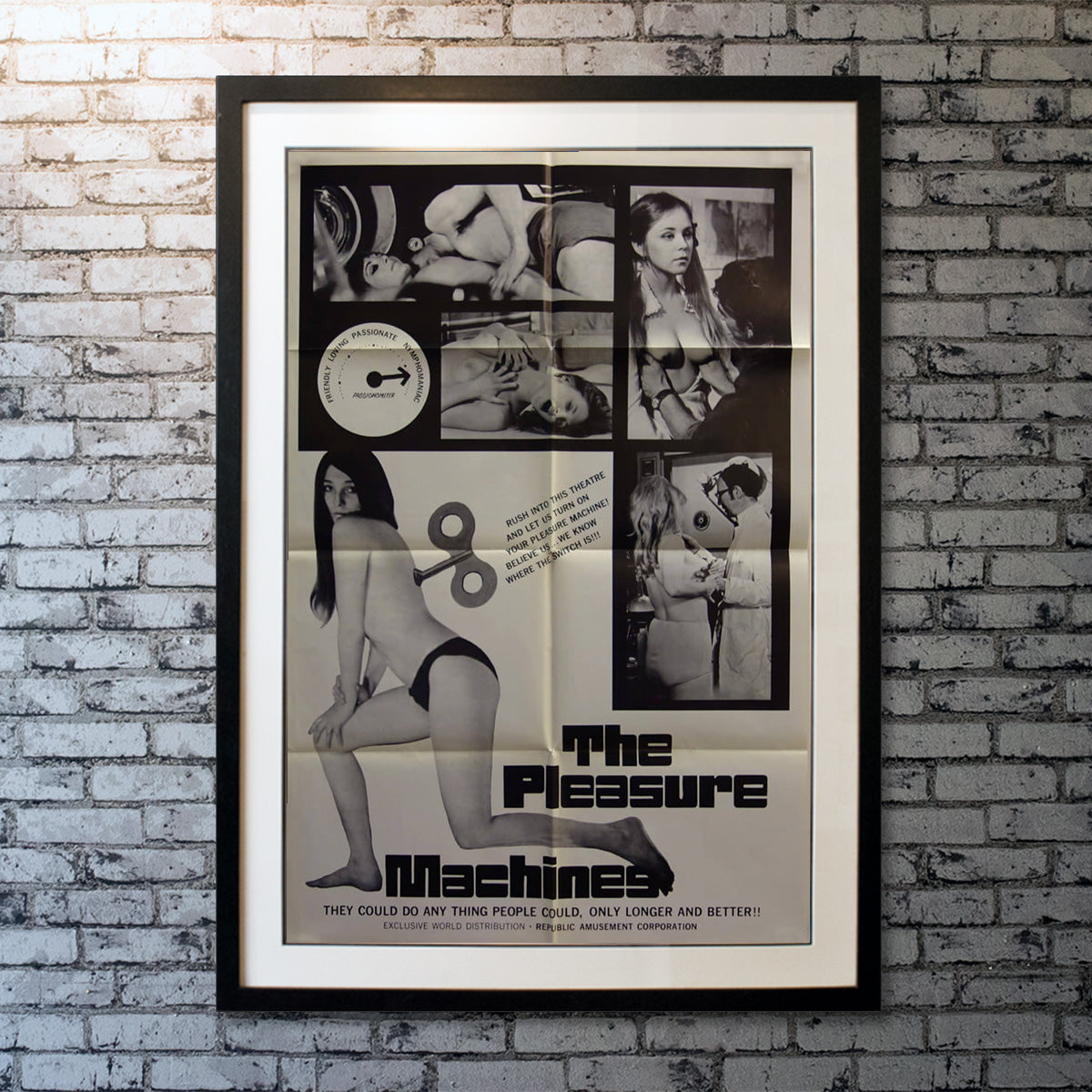 Pleasure Machines, The (1969)