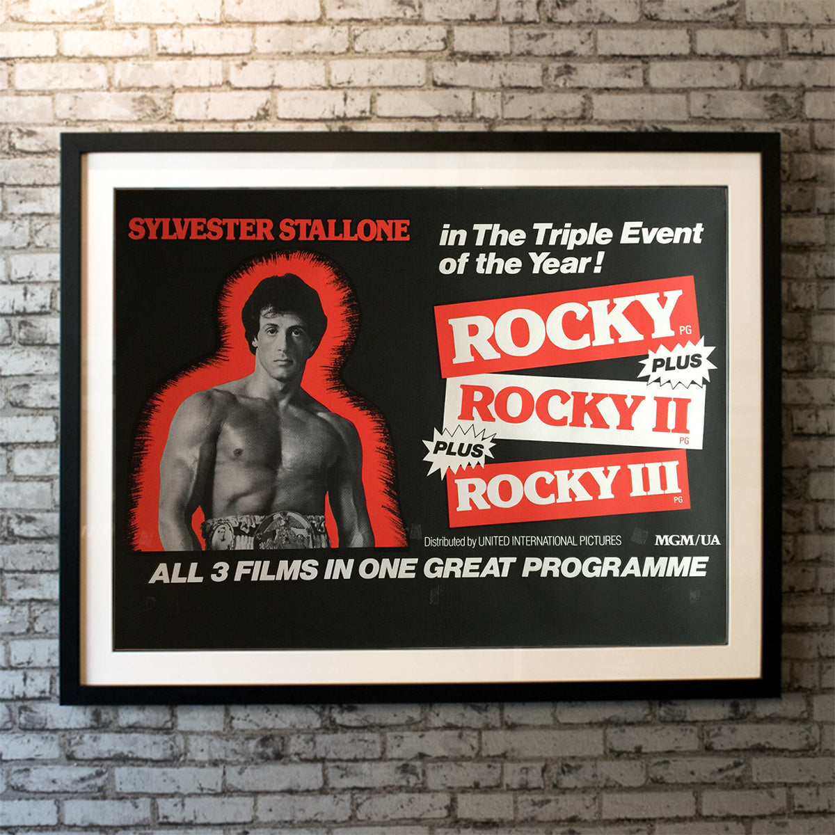 Rocky Triple Bill (1984)