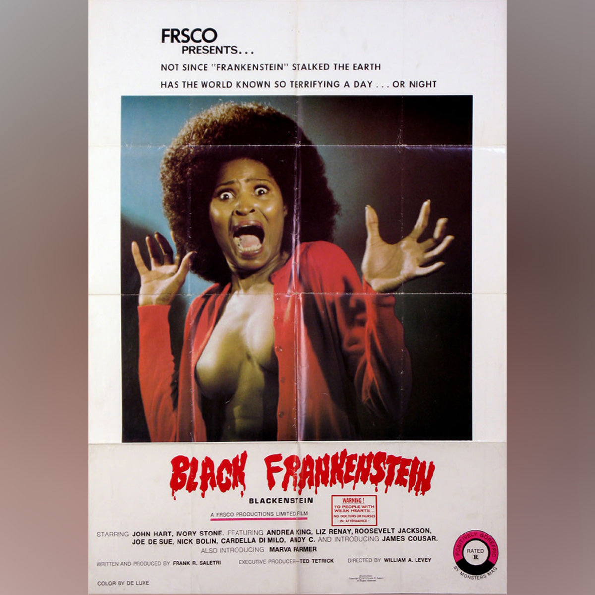 Original Movie Poster of Blackenstein (1973)