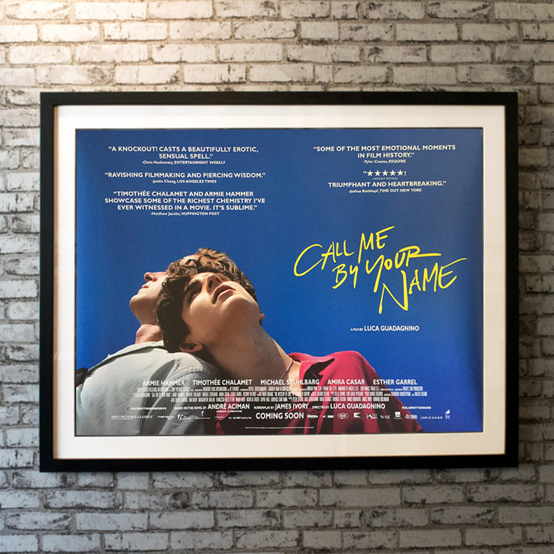 Original Movie Poster of Call Me By Your Name (2017)