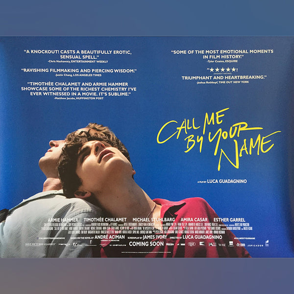 Original Movie Poster of Call Me By Your Name (2017)