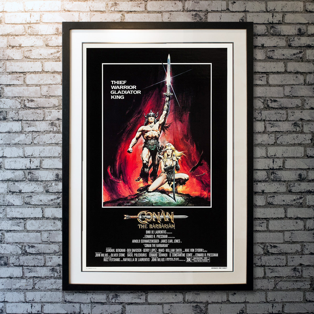 CONAN THE BARBARIAN Movie Poster RARE Arnold Schwarzenegger