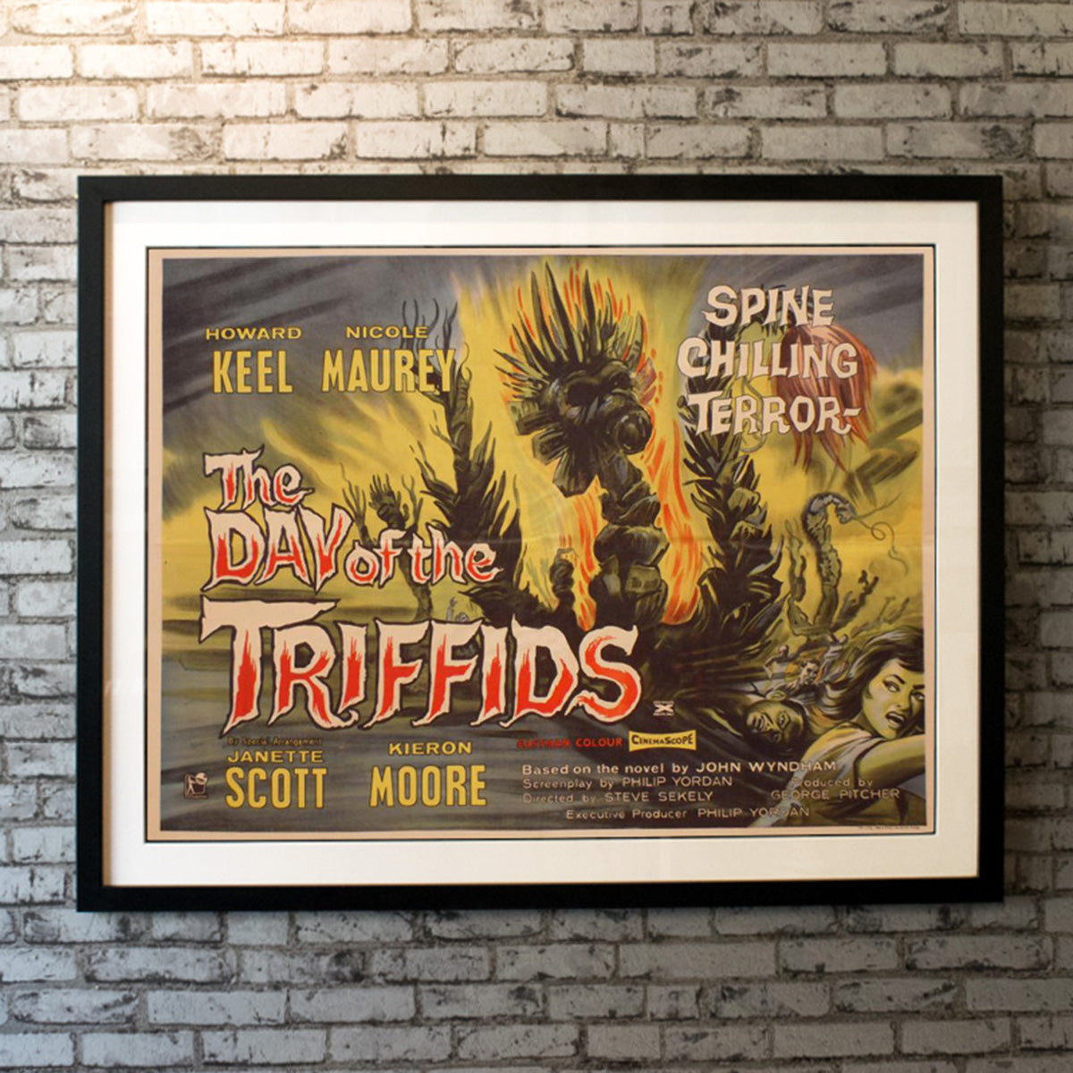 Original Movie Poster of Day Of The Triffids, The (1962)