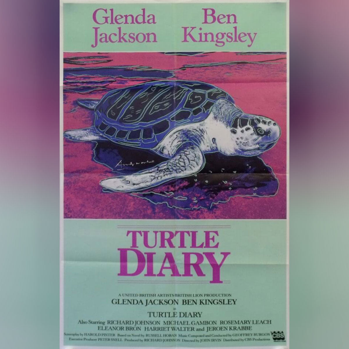 Turtle Diary (1985)