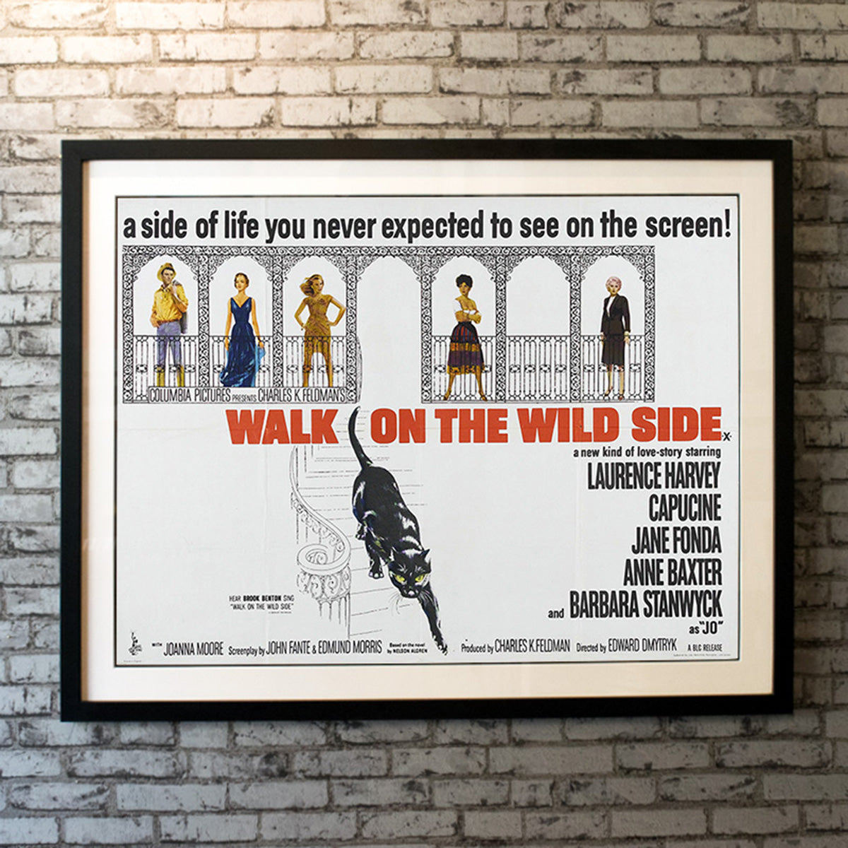 Original Movie Poster of Walk On The Wild Side (1962)