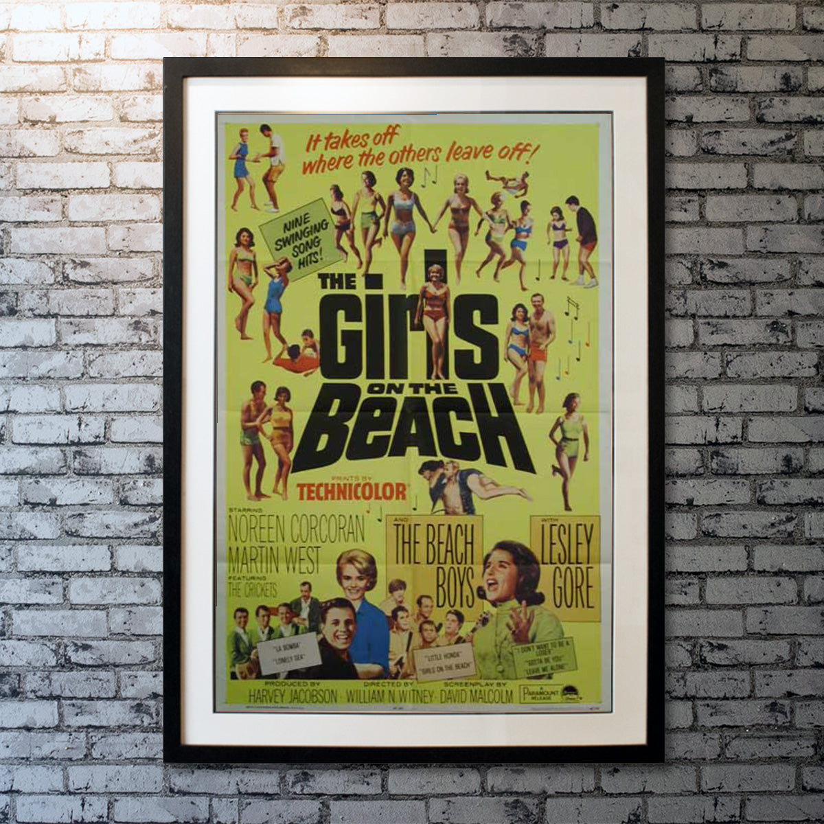 Girls on The Beach, The (1965)