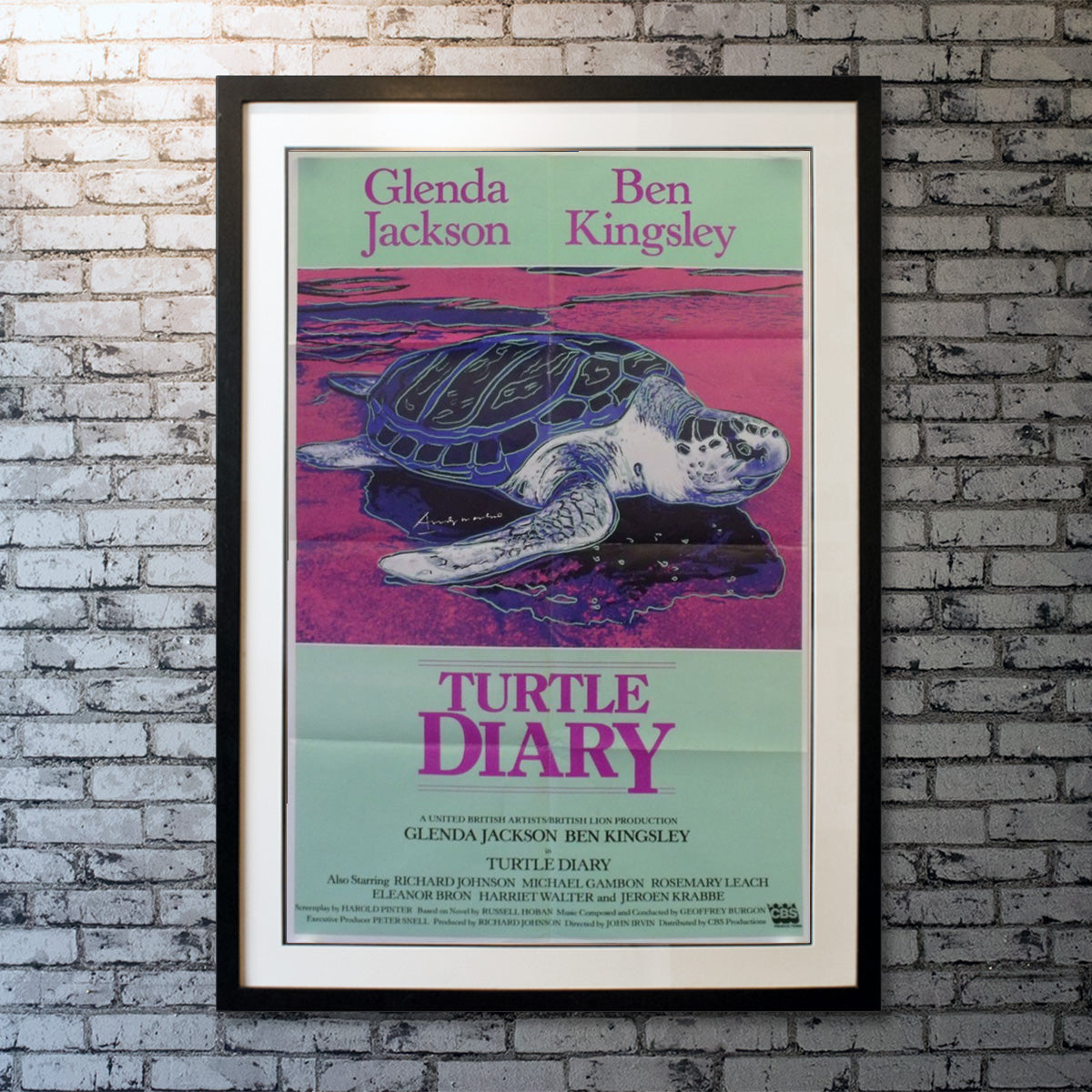 Turtle Diary (1985)